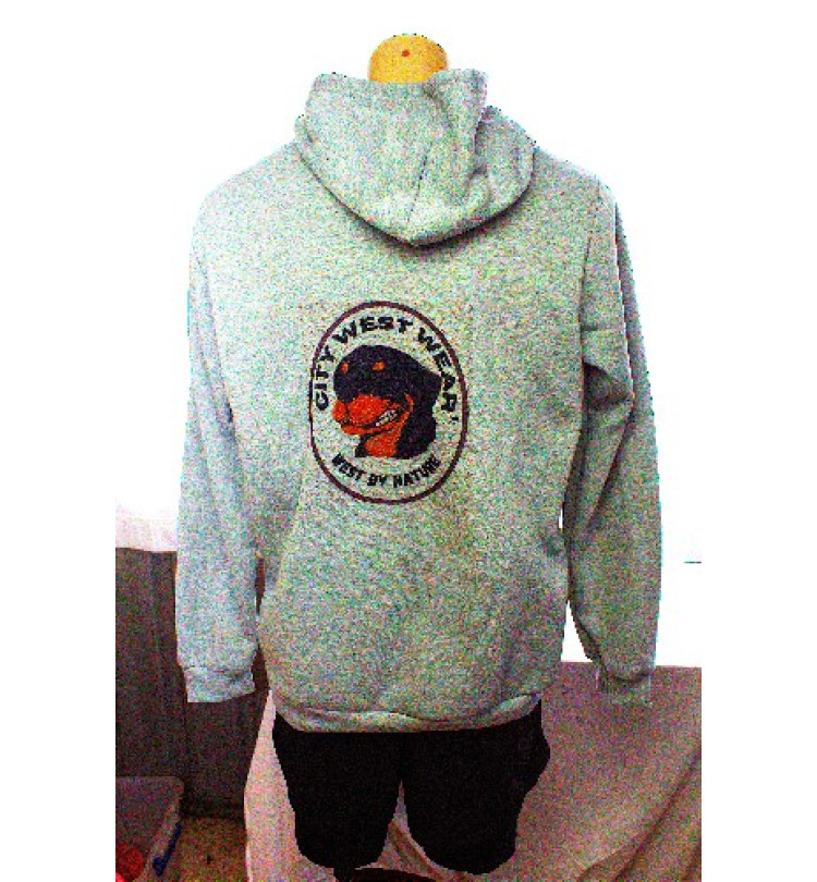 Plain Grey Hoodie