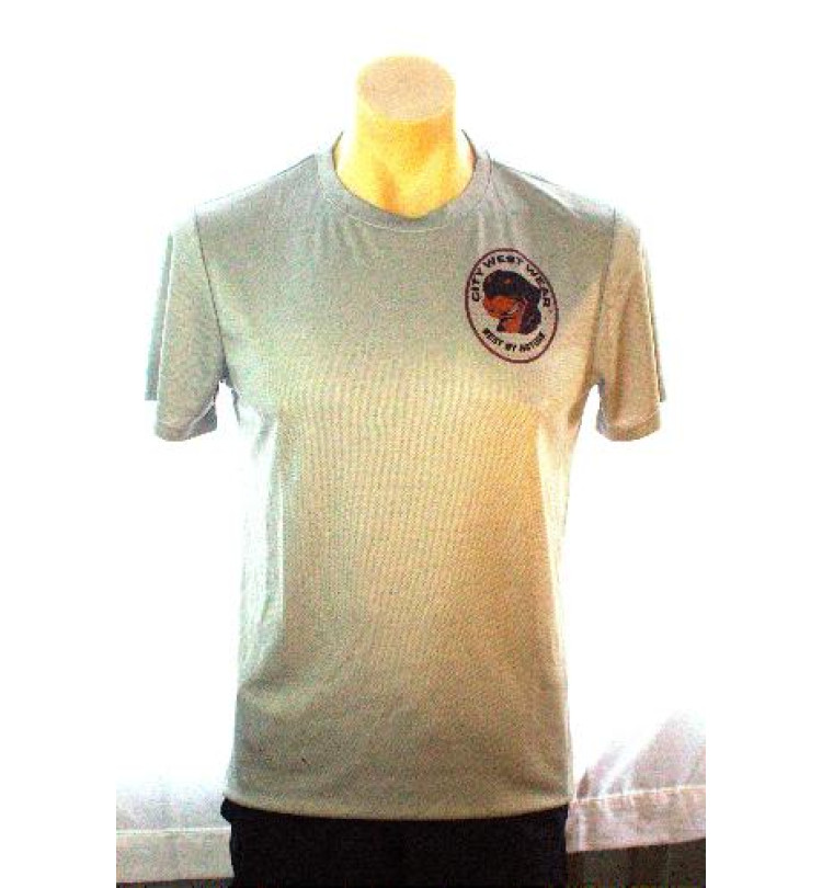 Plain Grey T-Shirt 